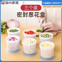 Refrigerator onion storage box onion ginger garlic drain fresh-keeping box sealed kitchen vegetable plastic food finishing box artifact