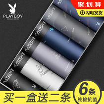  Playboy pure cotton mens underwear mens boxer shorts summer thin boxer shorts antibacterial breathable shorts head pants