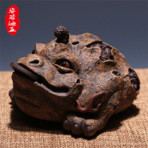 ZYRODIA Yixing Yixing Purple Tea Penny Toad Boutique Tea Play High - end Tea Play Box