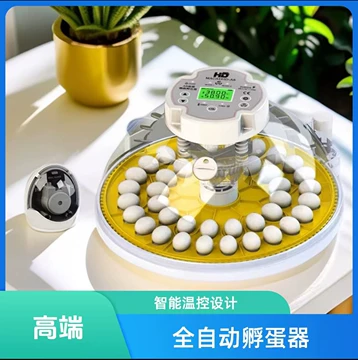 a8孵化器-a8孵化器促销价格、a8孵化器品牌- 淘宝