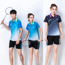 New volleyball suit suit mens and womens customized breathable volleyball jersey training sports competition team uniform purchase print number
