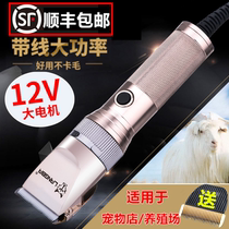 Wolf pa high-power wired pet electric push shearing goat shaving device Dog electric fader long-haired rabbit-sized dog