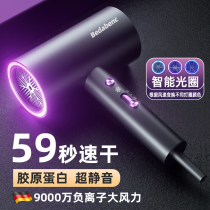 (Li Jiazaki Recommended) Electric blow machine Home High power mute negative ion hair care hair salon special blow cylinder