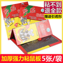 Chunhe super-strong sticky mouse board to catch a big mouse glue kill the artifact catch the mouse a strong nest