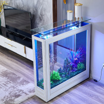 Living room household rectangular simple modern light luxury fish tank large and medium-sized glass aquarium ecological water-free entrance