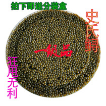 A- grade sturgeon caviar 500G Sturgeon seed sauce ready-to-eat fresh Sturgeon seed sushi export gourmet Shunfeng