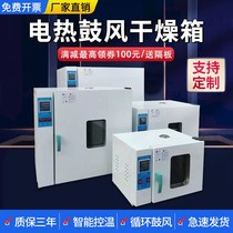 Electric constant temperature blast drying oven laboratory high temperature industrial oven welding rod mold car headlight drying box