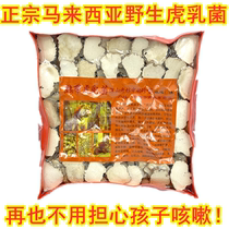 Tiger Milk Bacteria Wild Tiger Milk Bacteria Tablets Malaysia Tiger Milk Children Cough Tiger Milk Qingrun Soup Bag 250g