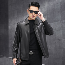 Haining leather leather jacket mens short lapel oil wax head layer cowhide leather jacket youth casual single leather jacket
