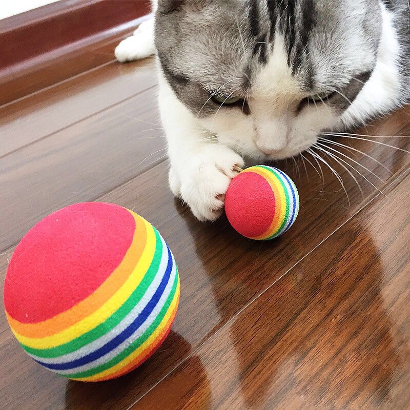 Cat Toy Rainbow Ball Micro Elastic Solid Mute Tooth Grinding and Tooth Cleaning Play Cat Interactive Pet Toy Large Cat Bite Ball