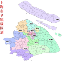 Shanghai township-level administrative division shp data ArcGIS map data street township GIS data