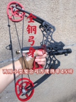 Small dual-purpose composite bow steel ball bow archery sports goods dual-purpose pulley bow fishing bow and arrow Sports