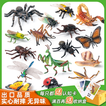 Simulation Animal Insect Reptile model solid Grasshopper Centipede Butterfly Bee Crickets Spider Dragonfly Mantis Scorpion