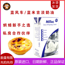 进口蓝米吉淡奶油面包店蛋糕店家用烘焙材料蓝色风车1盒装