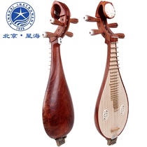 Beijing Xinghai 844-a first-level Aoshi yellowsandalwood Willow Qin professional sour branch mahogany playing Liuqin PIPA
