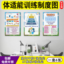 What is physical fitness training eight quality balanced development knowledge billboard wall chart KT display board poster printing
