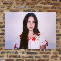 Lana del Rey poster L836 full 8 sheets of Baumaillanadere Thunder Brother-in-law Lanadelrey poster