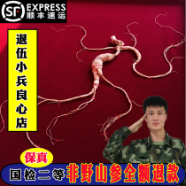 Northeast forest ginseng ginseng Changbai Mountain National Inspection second-class wild mountain ginseng gift box Laoshan Ginseng 20 years first-class ginseng dry goods