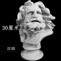 30cm Marseille plaster head small and medium Nordic model ornaments art sketch sketching teaching aids sculpture