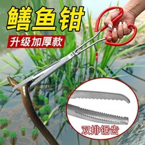 Finless eel finless eel pliers lengthened fish control anti-slip mud loach clamp crab-clamp eel fish clamp sanitation garbage clamp iron pliers