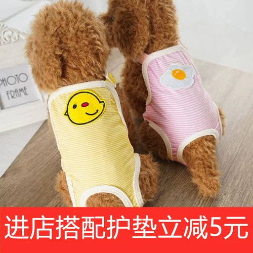 Физиологические штаны для собак сука санитарные брюки с собакой анти -харассии маленькие собачьи брюки Менструальные штаны могут заменить полотенце тети