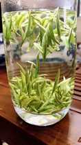 2021 New Tea Anji White Tea Longjing Tea Alpine Green Tea Tea Farmers Direct Selling Zhejiang Anji White Tea 500g Bulk