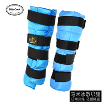 Century Jiurui Equestrian Ice Clamp Daily Training Leggings Props Cooling and Anti-Ramp Horse Protection Supplies Blue