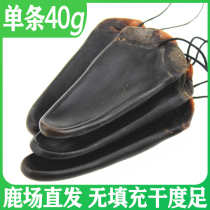 New Zealand red deer deer tail 40 grams dry deer tail male nourishing Jilin sika deer deer farm direct supply