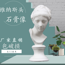 Trumpet Venus head plaster art teaching aids decorative plaster ornaments small sketch head still life figure portrait