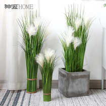 Nordic reed grass simulation plant fake flower potted plant simulation flower green tree planting bonsai living room floor decoration