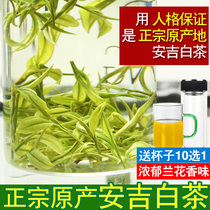  (Anji Authentic Xilong Anji White Tea)2021 New Tea Rare White Tea Mingqian Premium Green Tea Leaves 250g