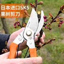 Fruit tree pruning shears branch scissors gardening garden floral shears Trough cutting branches pruning scissors labor-saving scissors tools