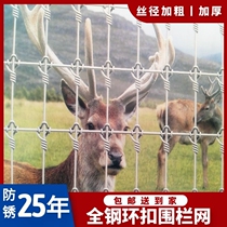 Galvanized anti-rust breeding net barbed wire fence fence fence net cattle railing cattle raising sheep Orchard isolation net