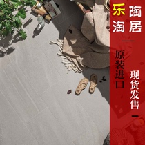 Italy imola bee tile LIME-ROCK living room bathroom floor tile Wall tile large plate imported