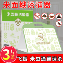 Moth bug moth trap Rice moth trap Rice moth trap grain rice insect insect insect drug armyworm paper household kitchen small flying insect