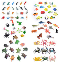 Clearance simulation 24 marine animal model tropical fish goldfish turtle crab underwater early education toy