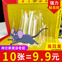 Super power sticky rat plate catching and large rat stick with glue to catch the rat-rat-trap god-ware super-powerful home end of the day