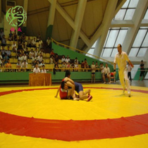 Yuncheng Wrestling Boxing Sanda Martial arts fighting Tai Chi push hand cover single PVC non-slip cover cloth Cover cloth Wrestling mat