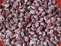  Fujian Putian pattern bean tiger bean dehumidifying bean 3 kg 60 yuan