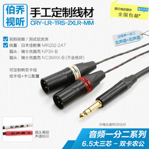 6 5 Transfer Double Canon Male 3 Core TRS 10% II 6 35mm Power amplifier ear release tune Sound Desk wiretap audio line
