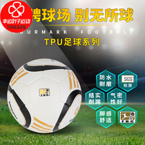 Lucky Leaf Football No. 5 adult primary and secondary school students TPU skin texture kindergarten training match football