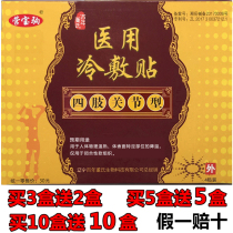 Liaoning Centennial Dongs paste neck and shoulder waist leg type cold compress with limbs joint type Ying Po foal knee lumbar pain