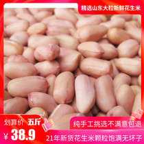 21 years of fresh Shandong large-grain peanuts 5kg of farmers self-produced dried peanuts bulk dried peanuts