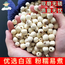Ground lotus seed specialty grade 500g cored lotus dried Fujian natural powder waxy white lotus with lily longan silver fungus