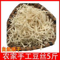 Hubei specialty Xiaogan farmhouse handmade homemade dried beans Wuhan Huangpi wet bean skin Yingcheng cake bean silk bean skin bean fold