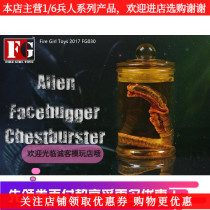 Fire Girl Toys 1 6 Iron Warrior alien contract larva face bug culture tank spot