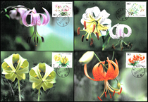 2003-4 Lily Stamp Postcard Limit Film 4 All