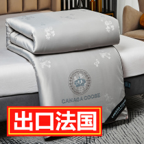 Exported silk quilted by 100 mulberry silk quilt by core thickened warm winter quilted by 10 Jin Chunqiu by single double winter