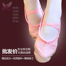 Childrens dance shoes soft bottom autumn ballet shoes adult dance shoes dance shoes yoga shoes cat claw shoes women