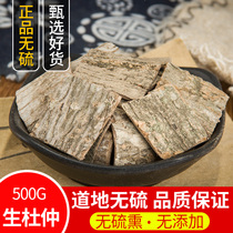 Eucommia ulmoides Chinese medicinal materials New Eucommia 500g eucommia tea grinable powder brewing wine Chinese medicinal materials also Morinda officinalis